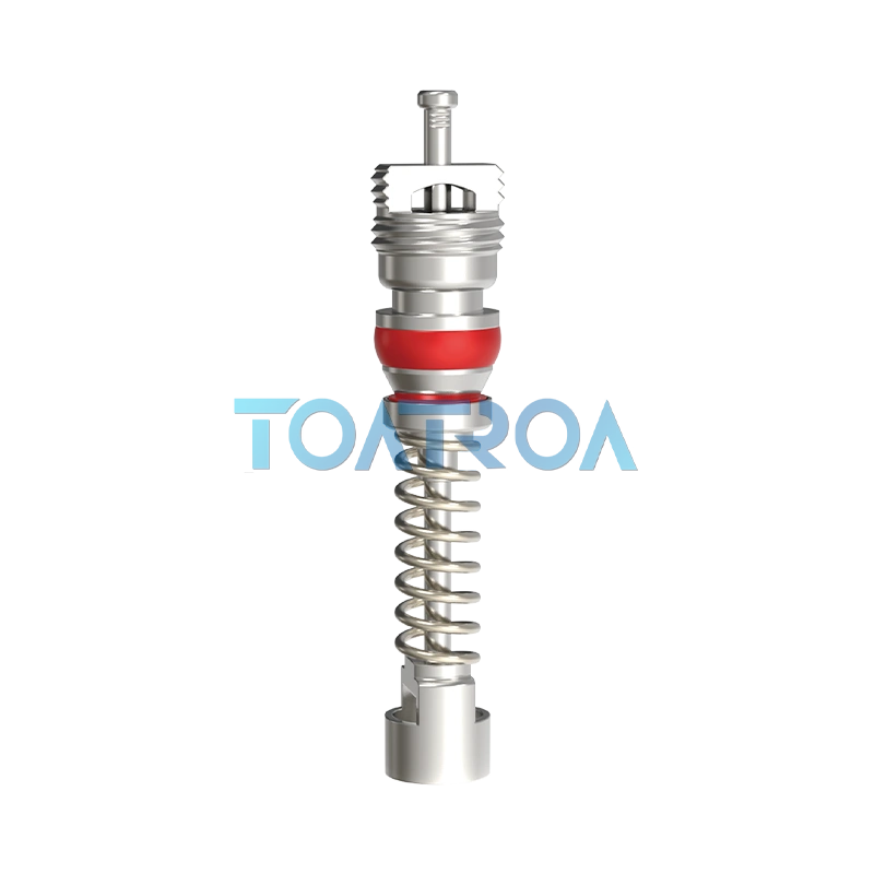 Ventileinsatz mit großem Durchmesser
