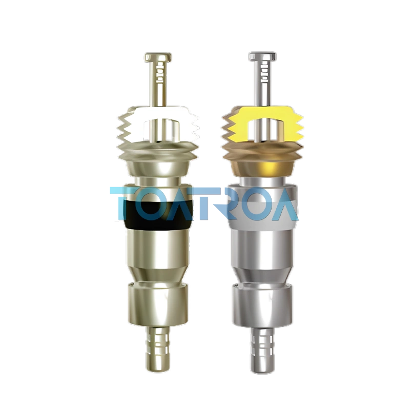 Ventileinsatz mit hoher Druckbeständigkeit