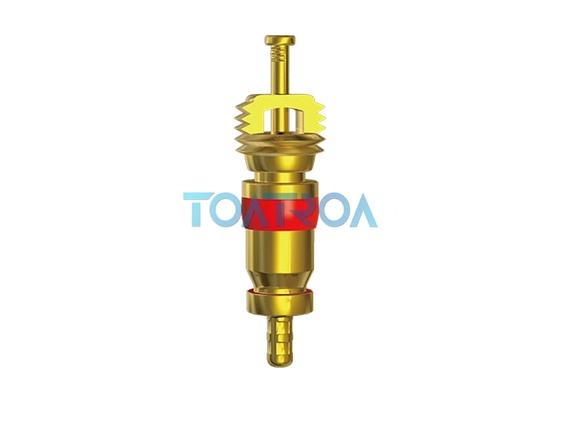 Common Causes of Air Leakage in Tire Valve Cores